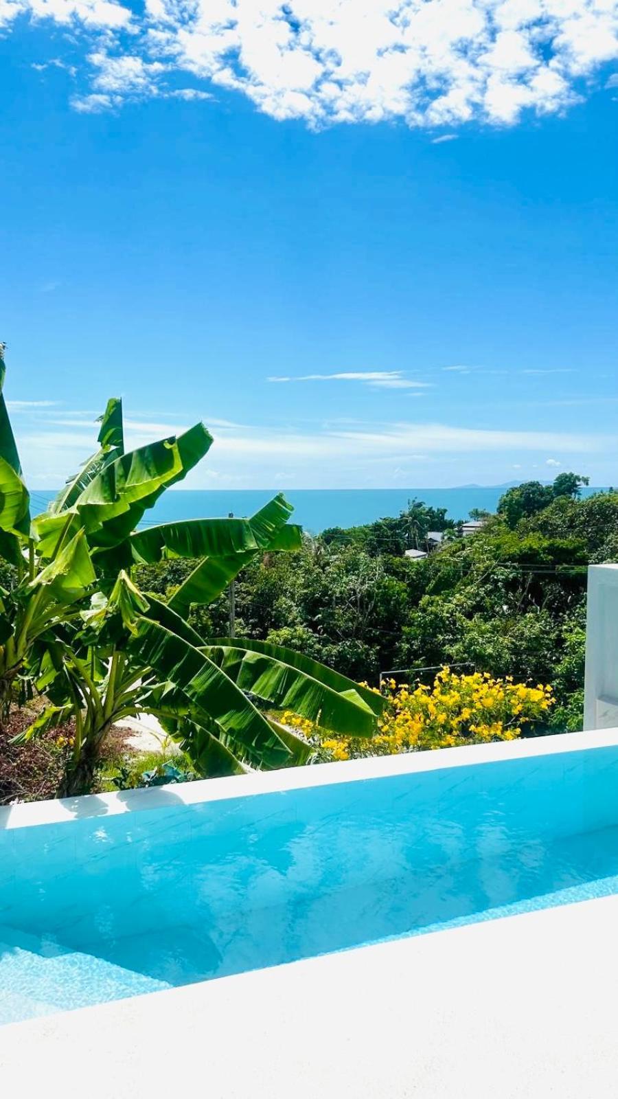 Mayara Pool Villas - Adults Only 哈德姚 外观 照片
